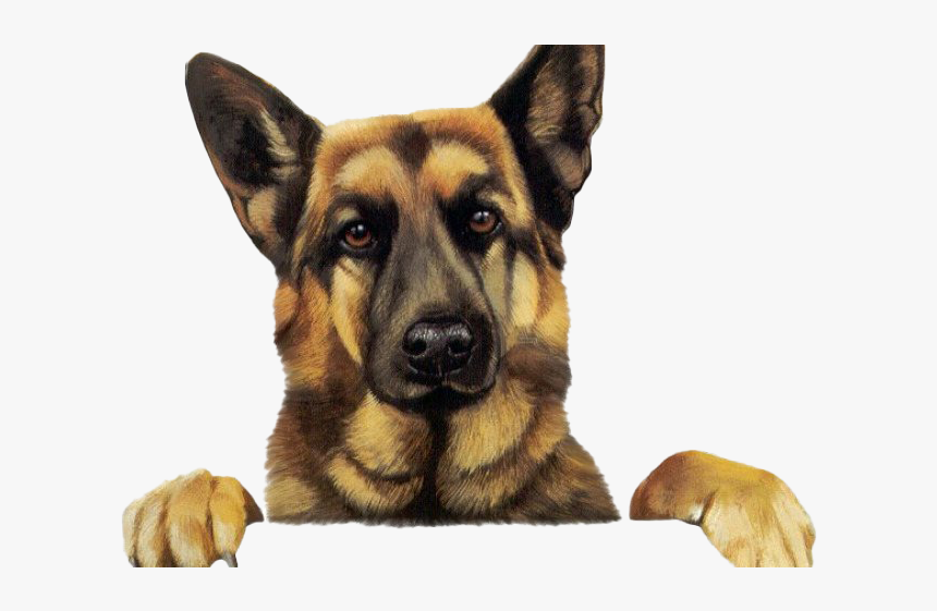 German Shepherd Clipart Canine - German Shepherd Happy Birthday Memes, HD Png Download, Free Download