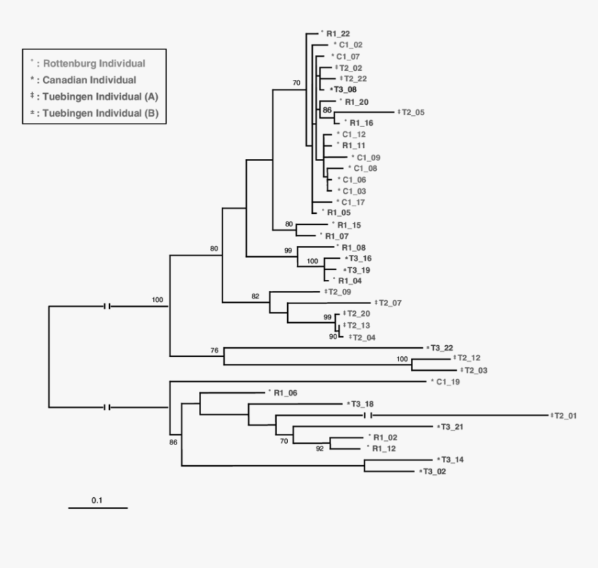 Diagram, HD Png Download, Free Download