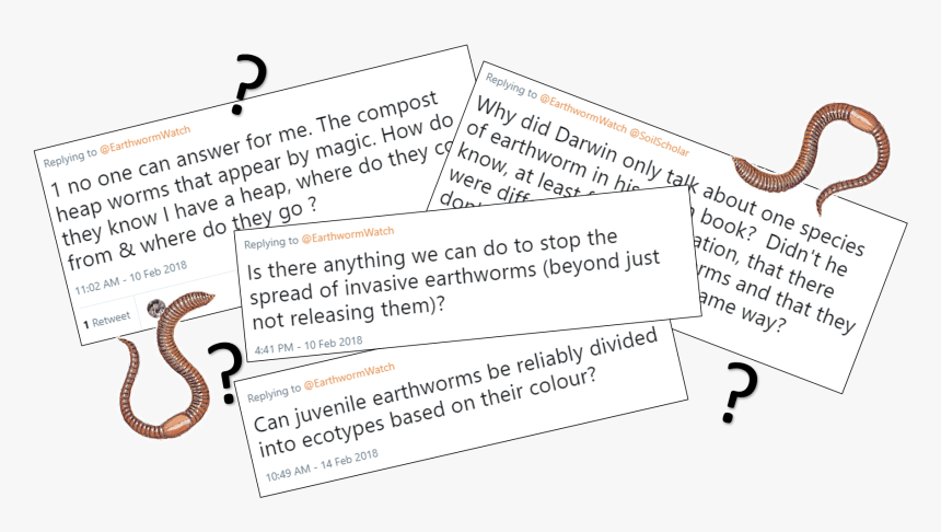 Earthworm Questions From Twitter - 새 학기 담임 편지, HD Png Download, Free Download