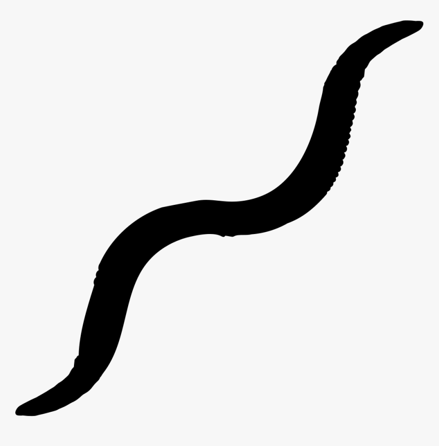 Earthworm Shape - Worm Shape, HD Png Download, Free Download