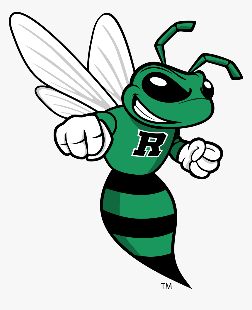 Roswell Hornets Logo , Transparent Cartoons - Roswell Hornet, HD Png Download, Free Download