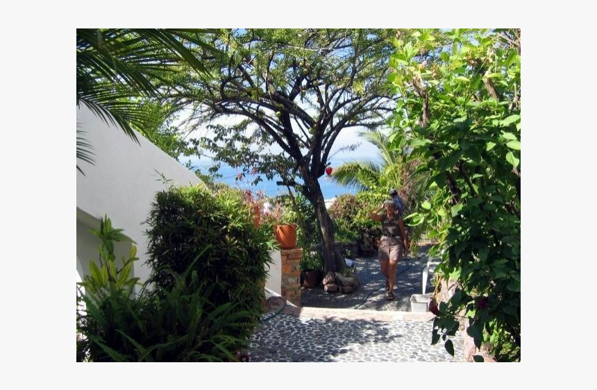 Casa Dulce Vida Near Beach With Maid - Roystonea, HD Png Download, Free Download