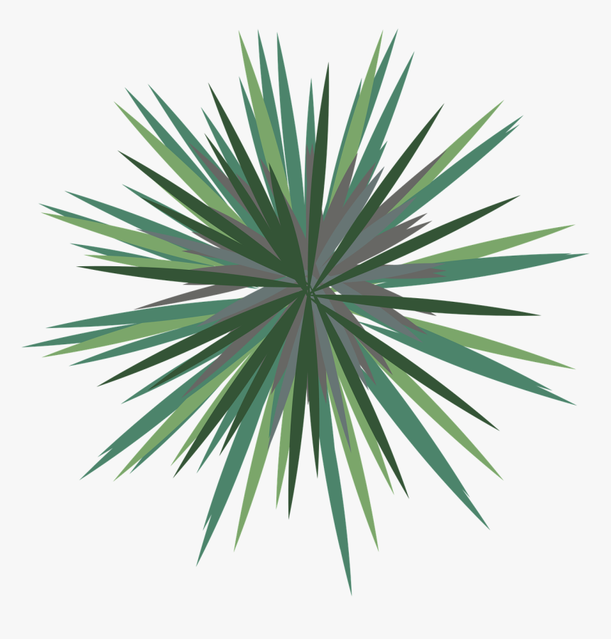 Landscape, Palm Tree, Landscape Plan, Architecture - Agave Azul, HD Png Download, Free Download