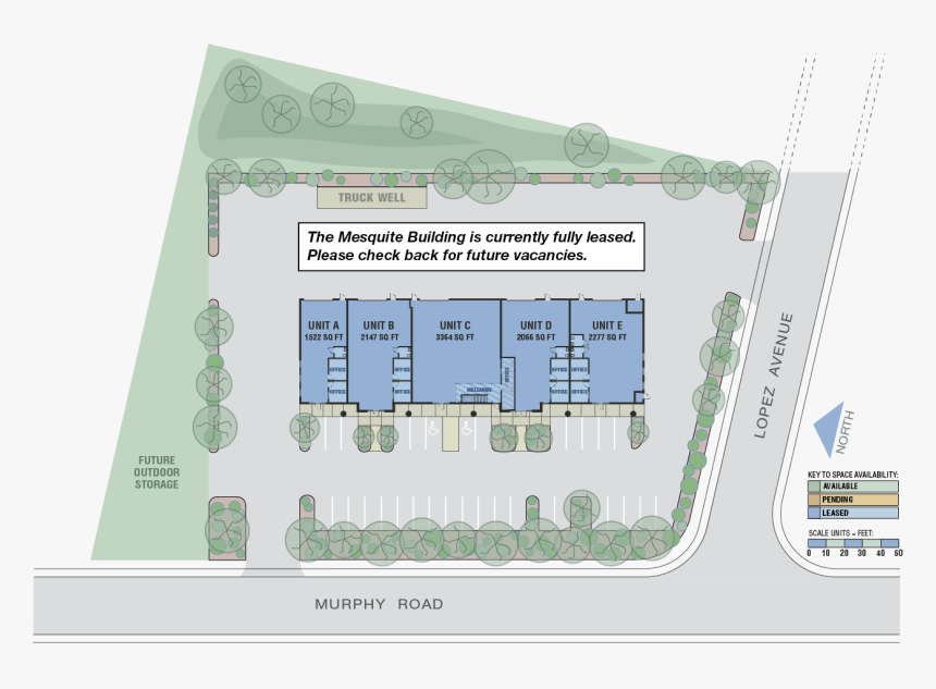 Transparent Mesquite Tree Png - Floor Plan, Png Download, Free Download