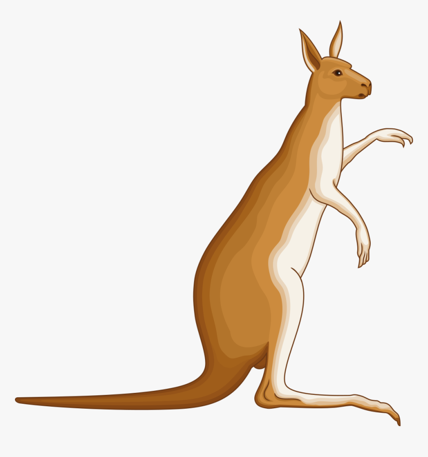 Kangaroo - Kangaroo Coat Of Arms, HD Png Download, Free Download