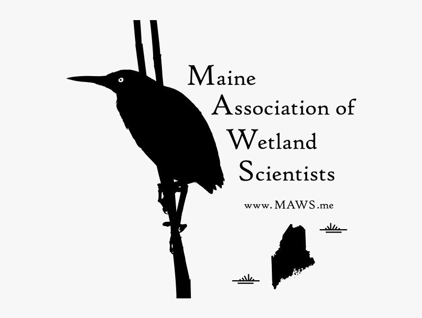 Maws-logo - Ciconiiformes, HD Png Download, Free Download