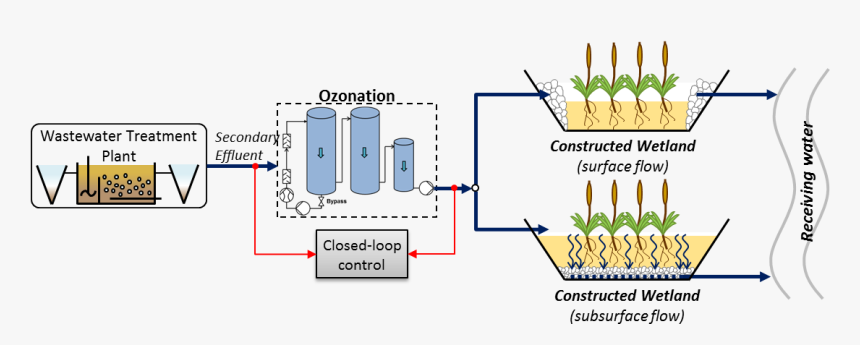 Constructed Wetlands For Wastewater Treatment, HD Png Download, Free Download