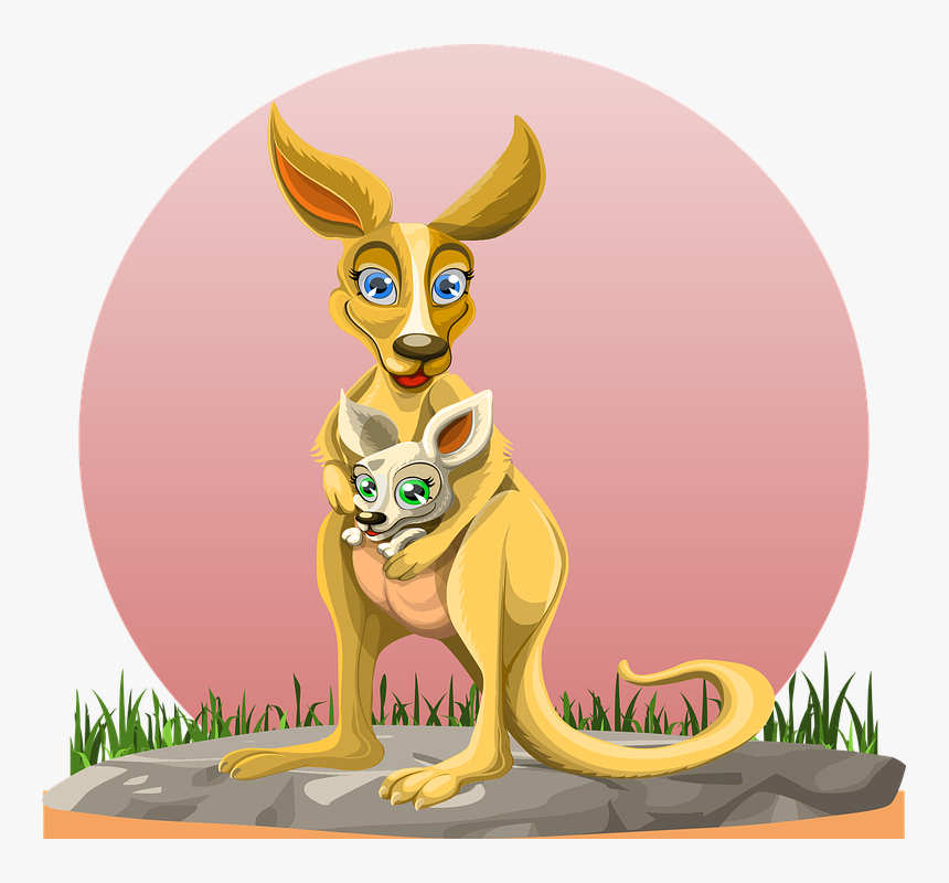 Kangaroo, Kangaroo With Cub, Cub, Young, Animal - Cartoon, HD Png Download, Free Download