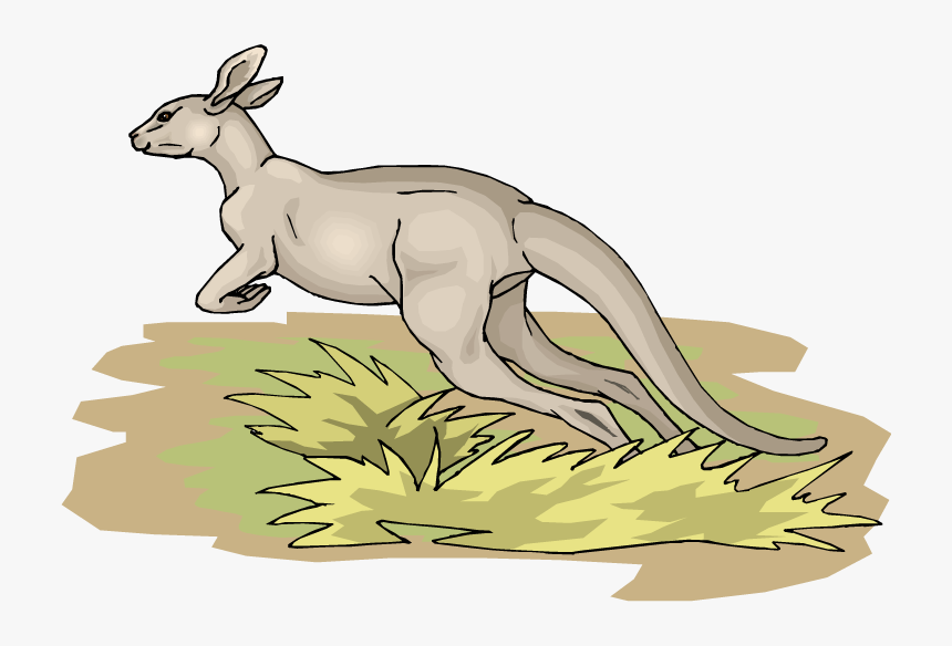 Transparent Cute Kangaroo Clipart - Kangaroo, HD Png Download, Free Download