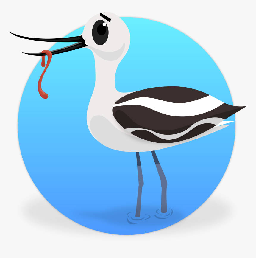 Wetlands Wonders Im Avery - Water Bird, HD Png Download, Free Download