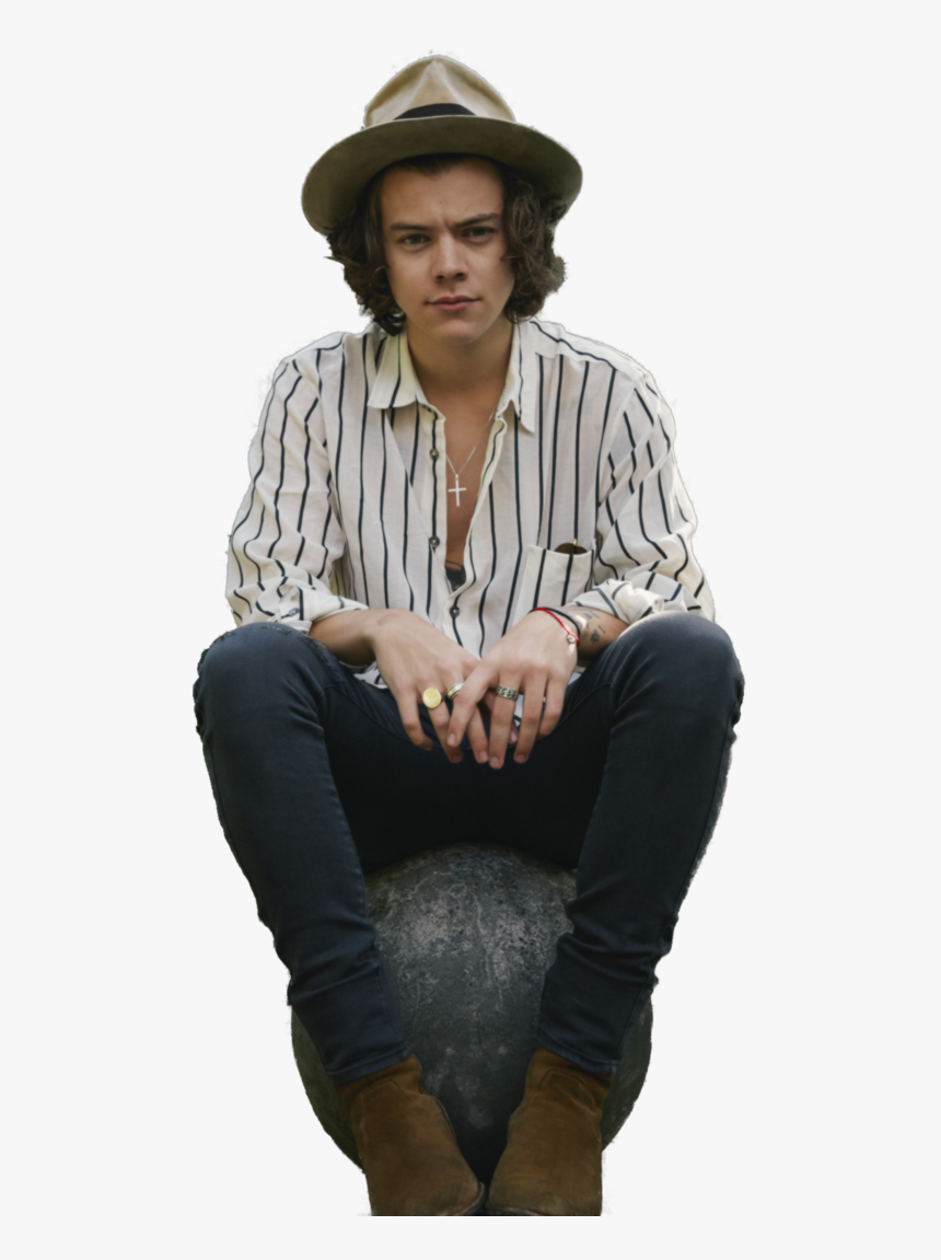 Harry Styles Png By Xxprettyx - Harry Styles Calendar 2019, Transparent Png, Free Download