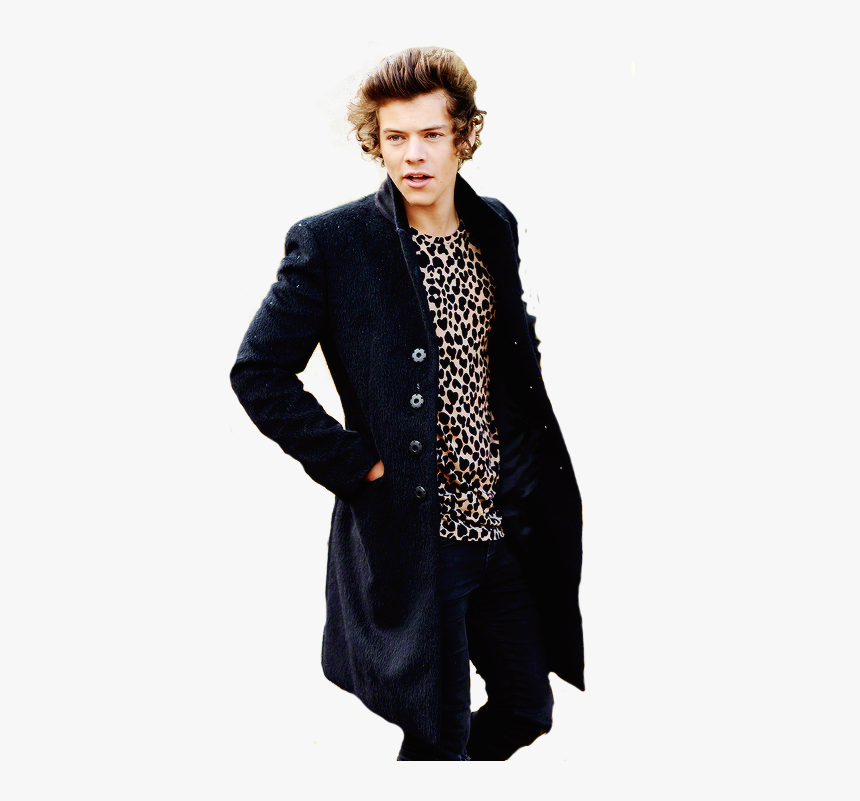 Harry Styles Png By Griz2012 - Harry Styles Slp, Transparent Png, Free Download