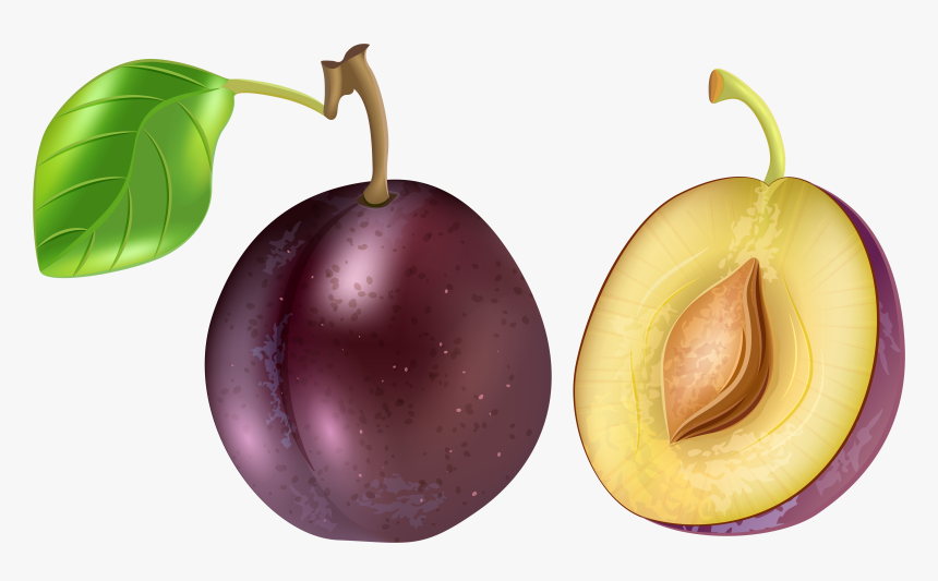 Plum Clipart Png, Transparent Png, Free Download