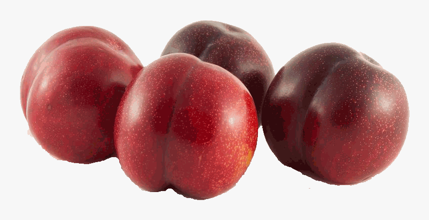 Plum - Plums Transparent, HD Png Download, Free Download