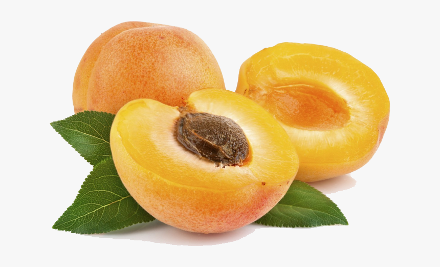 Apricot File - Apricot Png Free, Transparent Png, Free Download