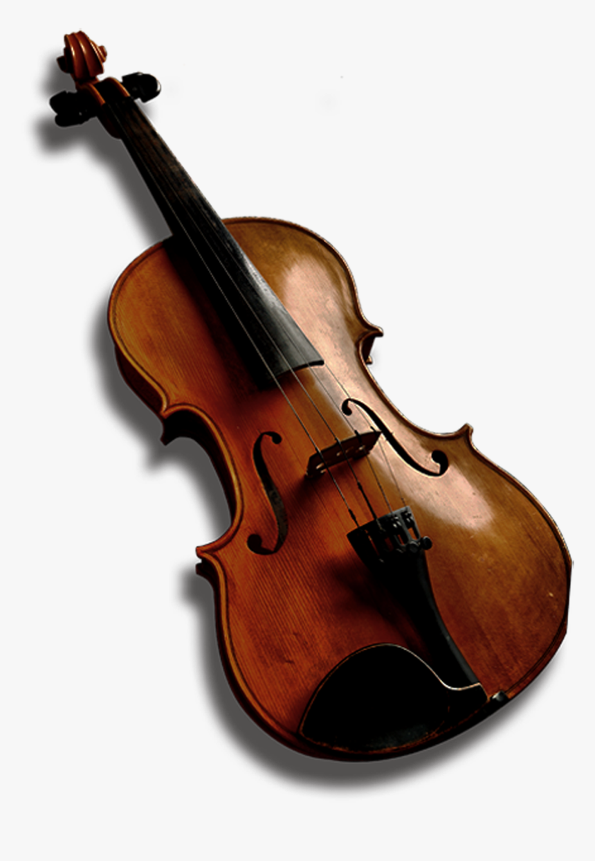 Bass Violin Viola Violone Double Bass - Bass Violin, HD Png Download, Free Download