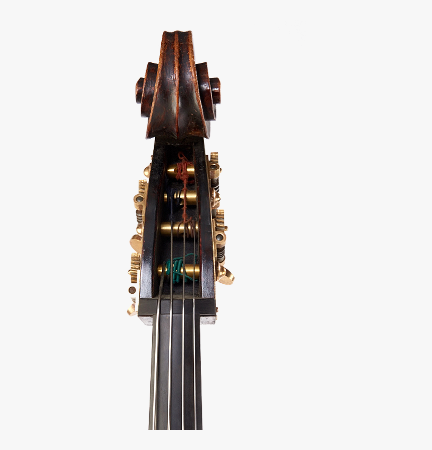 Cello Double Bass Bass Guitar Musical Instruments Photography - Double Bass, HD Png Download, Free Download