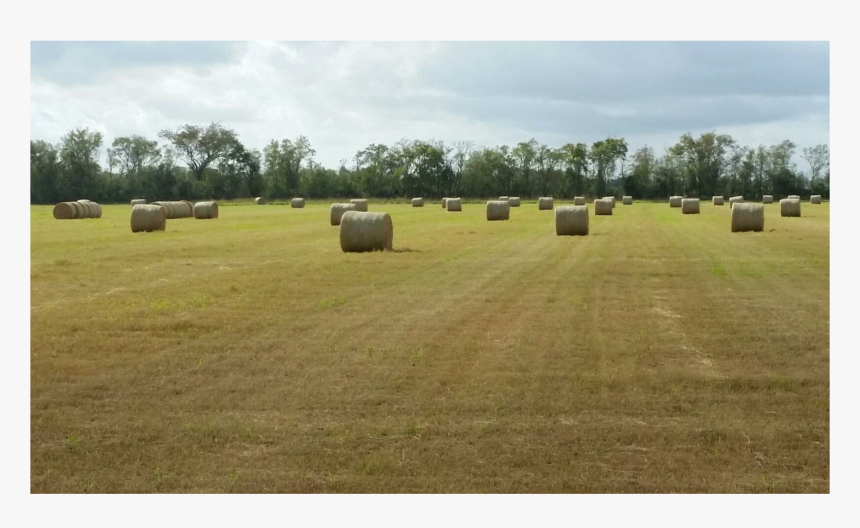Field, HD Png Download, Free Download