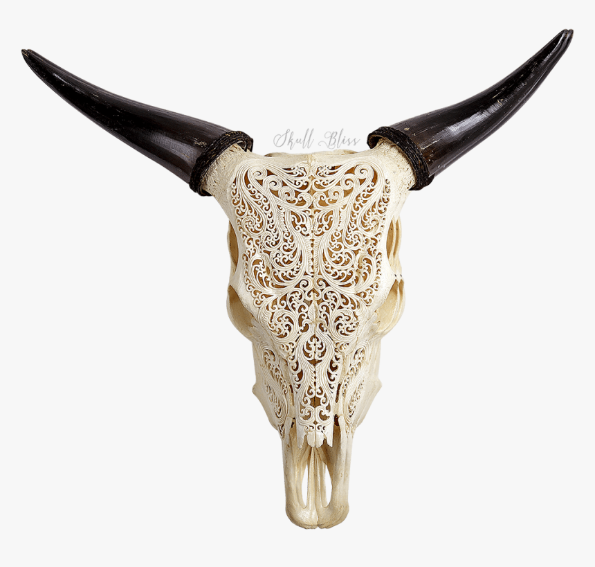 Engraved Cow Skull, HD Png Download, Free Download