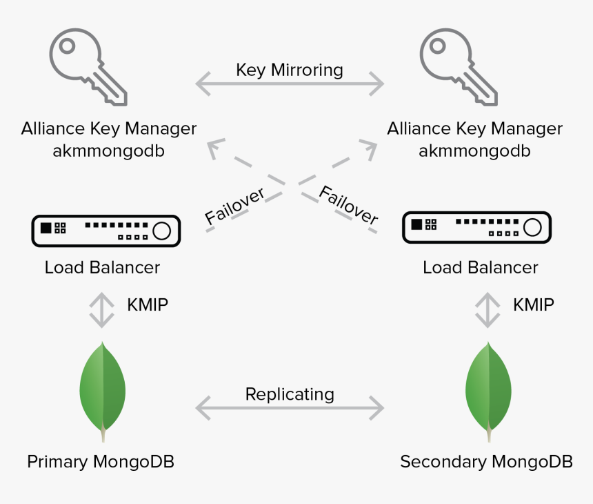 Mongodb Database Master Kmip, HD Png Download, Free Download