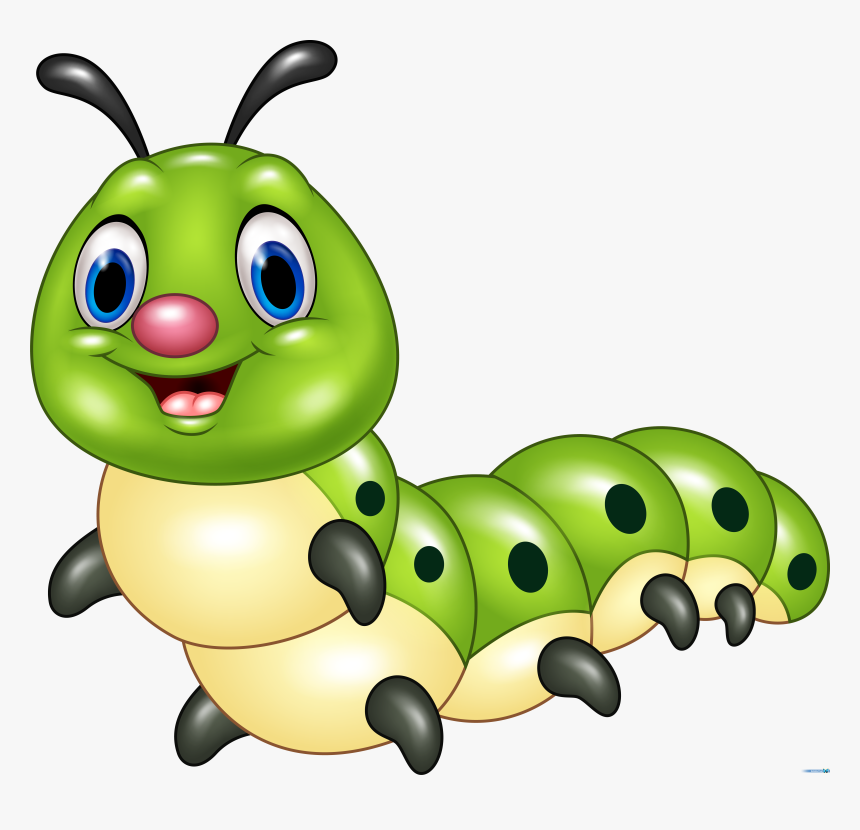 Light Green Caterpillar - Cartoon Picture Of Insects, HD Png Download, Free Download