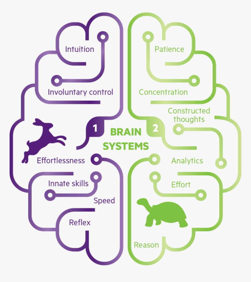 System 1 And System 2 Thinking - Fast And Slow Thinking, HD Png Download, Free Download