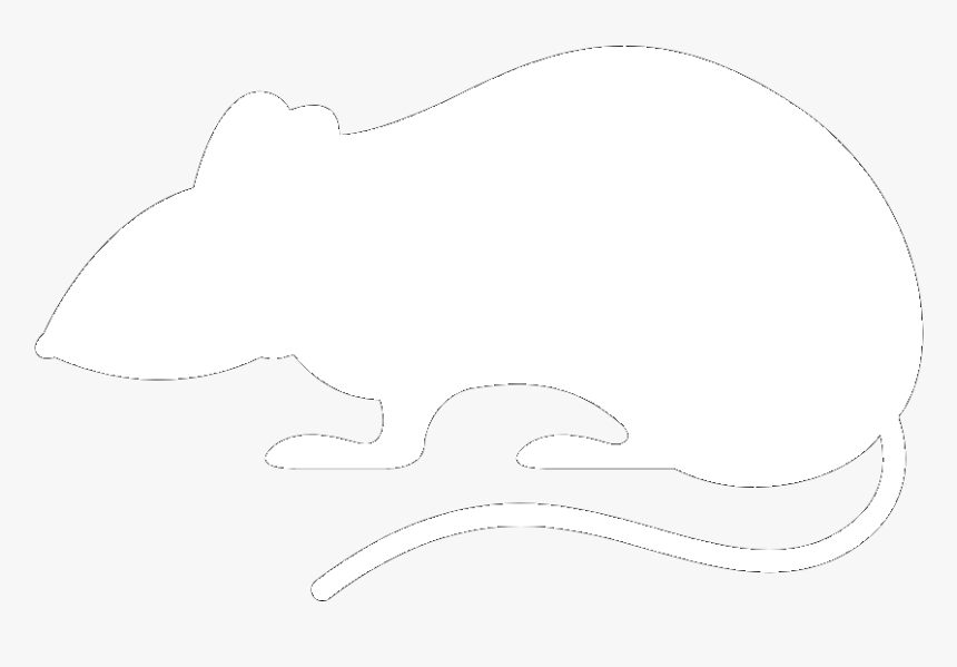 Symbol Rat - Sketch, HD Png Download, Free Download