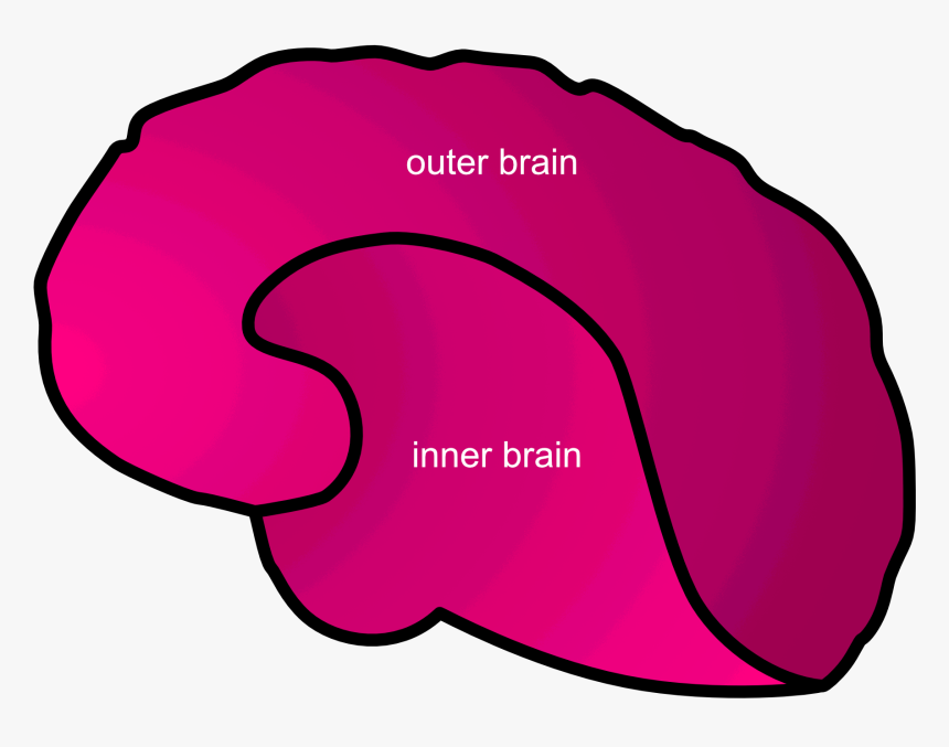 Inner Vs Outer Brain, HD Png Download, Free Download