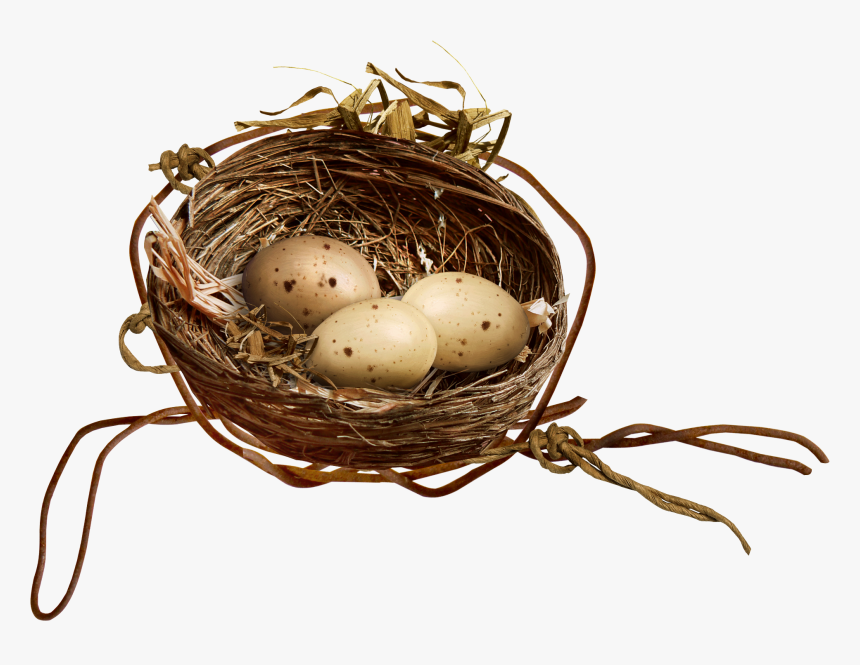 Clip Art Empty Bird Nest Clipart - Nest Clipart Birds Nest Transparent Background, HD Png Download, Free Download