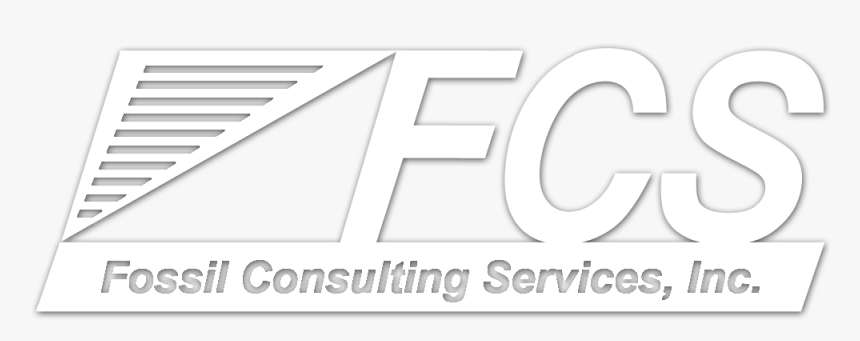 White Fcs Logo With Shadow - Poster, HD Png Download, Free Download