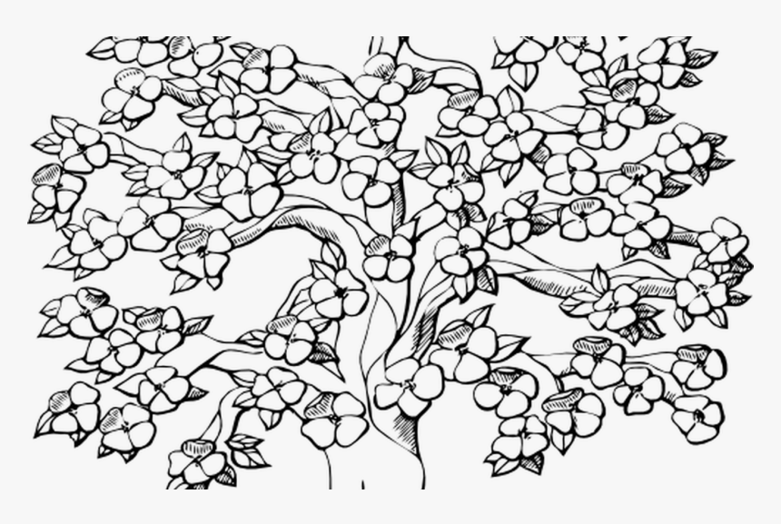 Transparent Cherry Blossom Tree Clipart - Black And White Trees Clipart, HD Png Download, Free Download