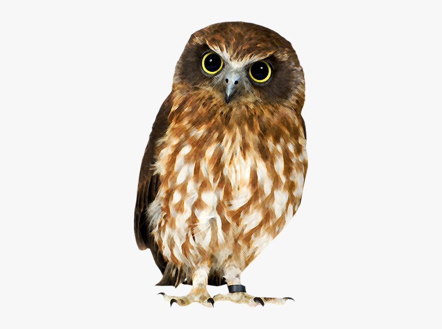 Download And Use Owls Icon - Owl Png, Transparent Png, Free Download