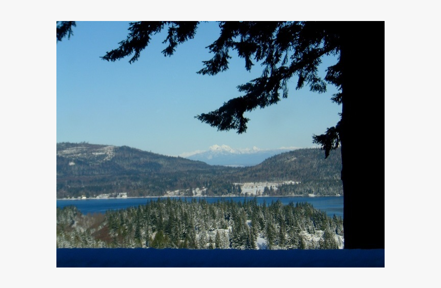 Pacific Nw Mountaintop Retreat - Shortleaf Black Spruce, HD Png Download, Free Download