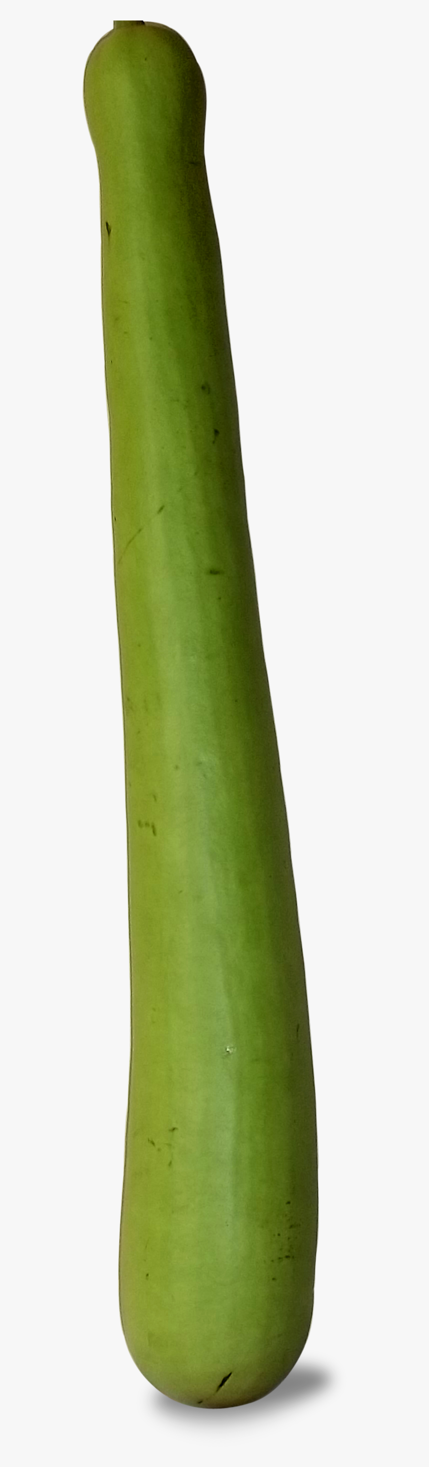 Bottle Gourd - Bamboo, HD Png Download, Free Download