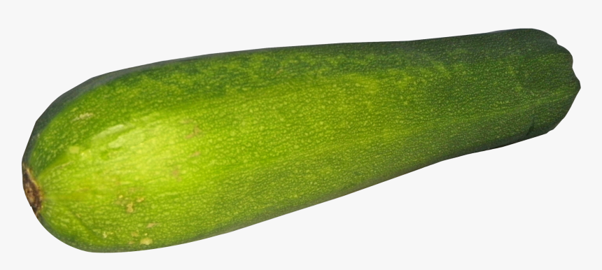 Zucchini - Zucchini Png, Transparent Png, Free Download