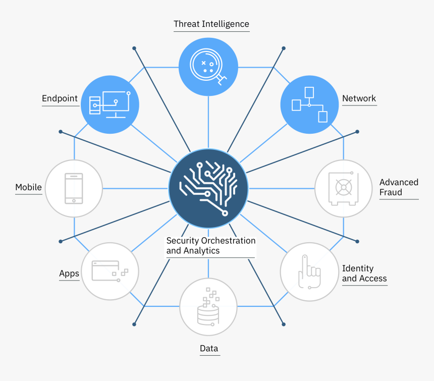 Overview Graphic - Ibm Security Immune System, HD Png Download, Free Download