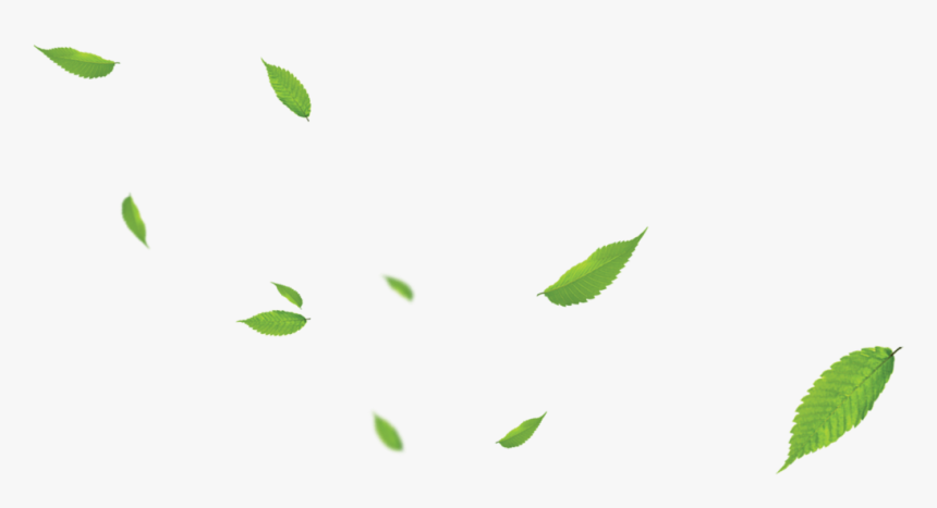  Background  Daun  Png Transparent Png kindpng