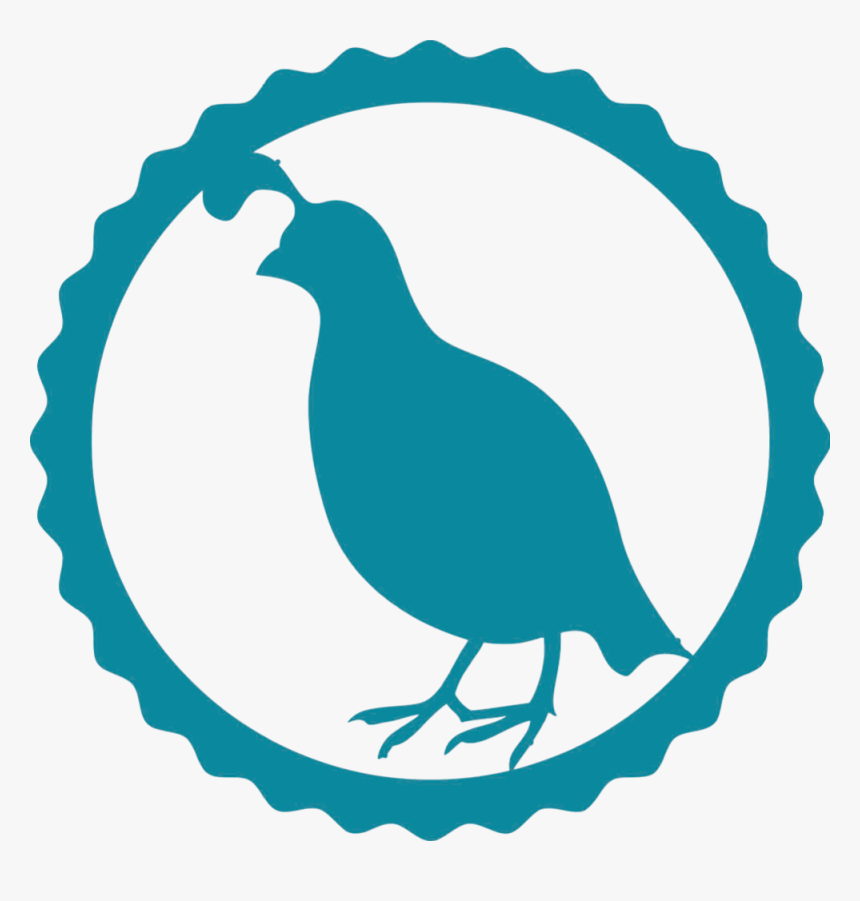 Turkey Icon Png, Transparent Png, Free Download
