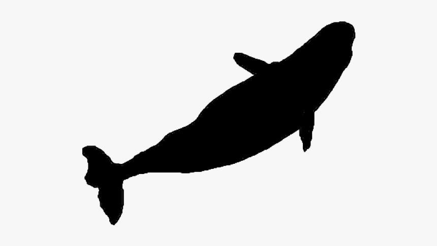 Whale Silhouette - Blue Whale Silhouette Top, HD Png Download, Free Download