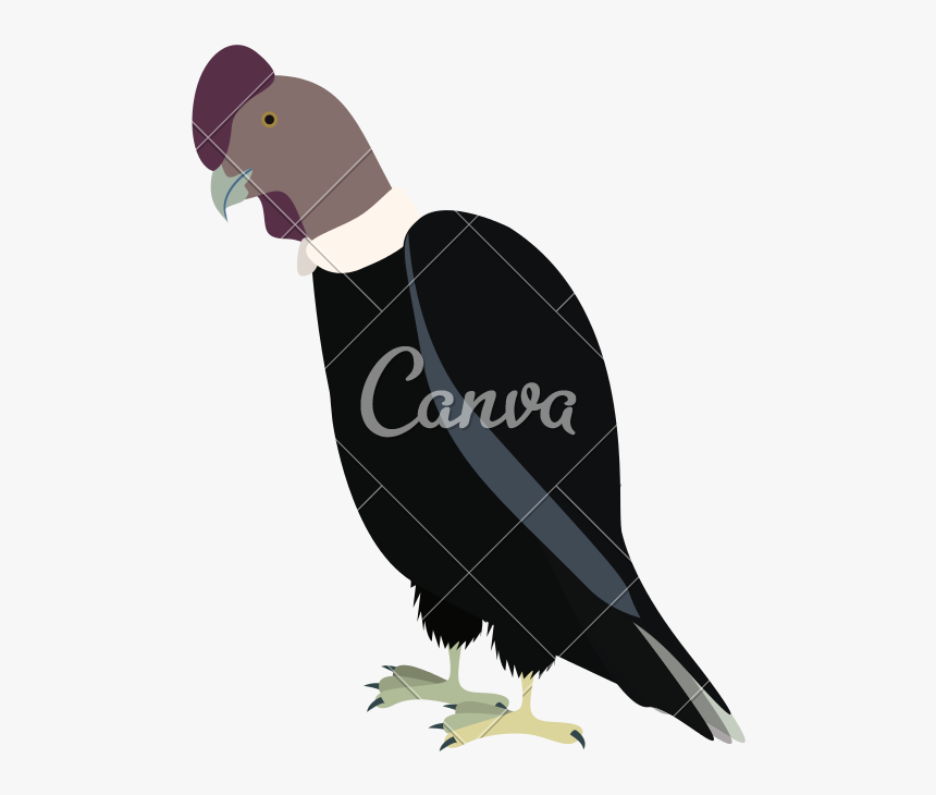 Condor Drawing Icon - Imágenes De Un Cóndor En Animado, HD Png Download, Free Download