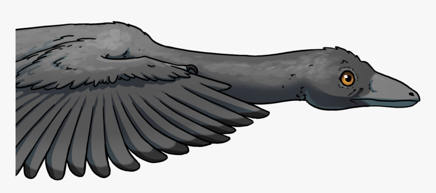 Archaeopteryx Flight, HD Png Download, Free Download