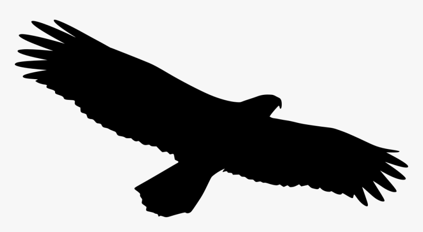 Crow Gif Transparent, HD Png Download, Free Download