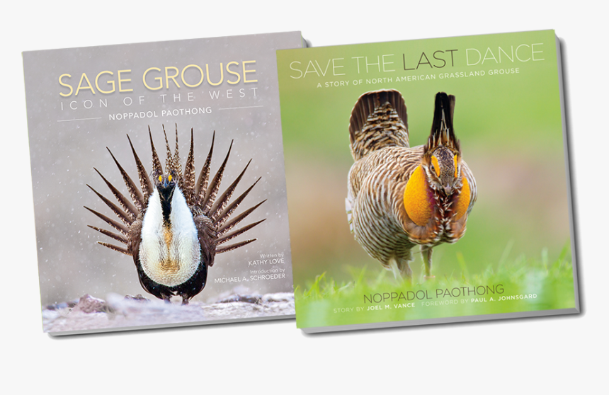 Turkey, HD Png Download, Free Download