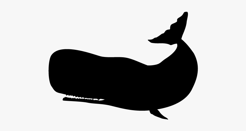 Sperm Whale White Silhouette, HD Png Download, Free Download