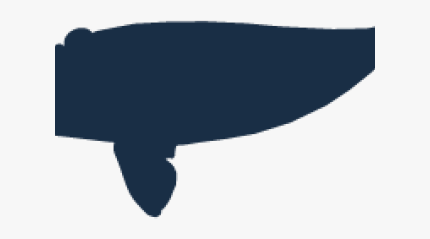Drawn Right Whale - Whale, HD Png Download, Free Download