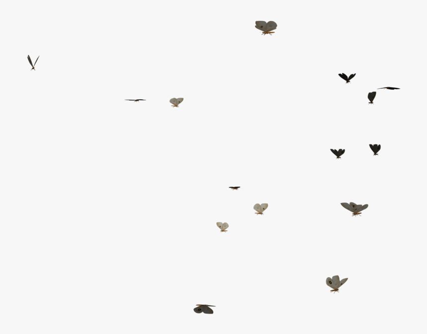 Download Butterflies Swarm - Transparent Butterfly Gif Png, Png Download, Free Download