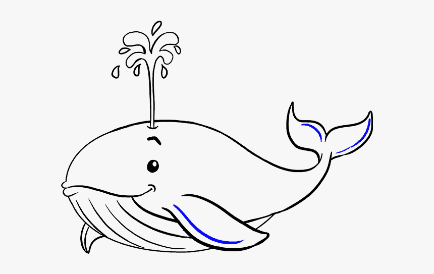 How To Draw Whale - Drawing Of Blue Whale, HD Png Download, Free Download