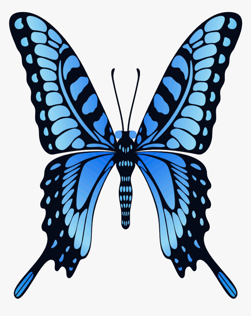 Mp Is Also Not - Butterfly Wing Flap Gif, HD Png Download, Free Download