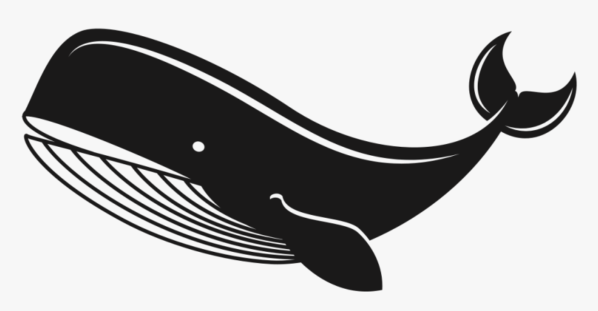 Whale - Whale Silhouette Svg, HD Png Download, Free Download
