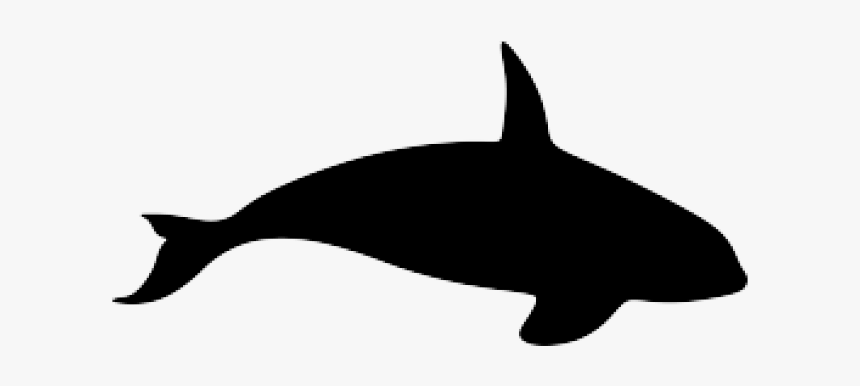 Whale Silhouette - Killer Whale Silhouette, HD Png Download, Free Download